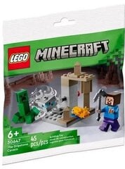 30647 LEGO® Minecraft The Dripstone Cavern, 45 tk hind ja info | Klotsid ja konstruktorid | kaup24.ee