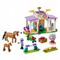 41746 LEGO Friends Horse Training ja plüüsist padi Cat, 50 cm цена и информация | Klotsid ja konstruktorid | kaup24.ee