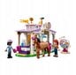 41746 LEGO Friends Horse Training ja plüüsist padi Cat, 50 cm цена и информация | Klotsid ja konstruktorid | kaup24.ee