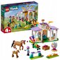 41746 LEGO Friends Horse Training ja plüüsist padi Cat, 50 cm цена и информация | Klotsid ja konstruktorid | kaup24.ee