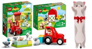 LEGO® Duplo ehituskomplekt ja pehme padi Cat hind ja info | Klotsid ja konstruktorid | kaup24.ee