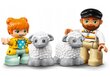 LEGO® Duplo ehituskomplekt ja pehme padi Cat hind ja info | Klotsid ja konstruktorid | kaup24.ee