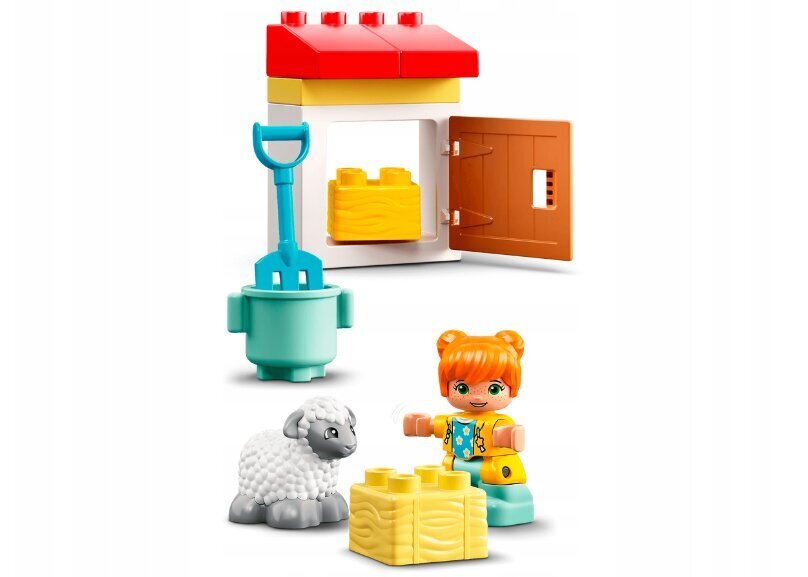 LEGO® Duplo ehituskomplekt ja pehme padi Cat hind ja info | Klotsid ja konstruktorid | kaup24.ee