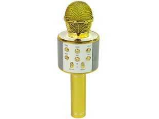 Беспроводной караоке-микрофон с динамиками и функцией записи WS-858, золото цена и информация | Развивающие игрушки | kaup24.ee
