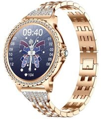 Zaxer ZI58 Gold Cyrkonie цена и информация | Смарт-часы (smartwatch) | kaup24.ee