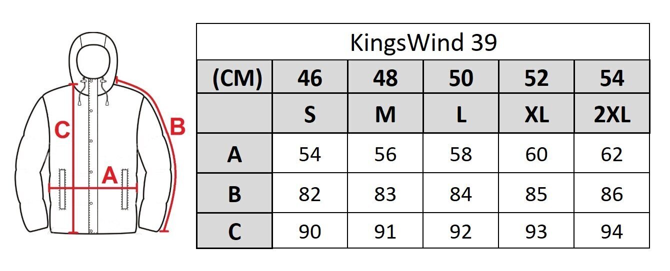 Meeste jope Kings Wind 39 hind ja info | Meeste joped | kaup24.ee