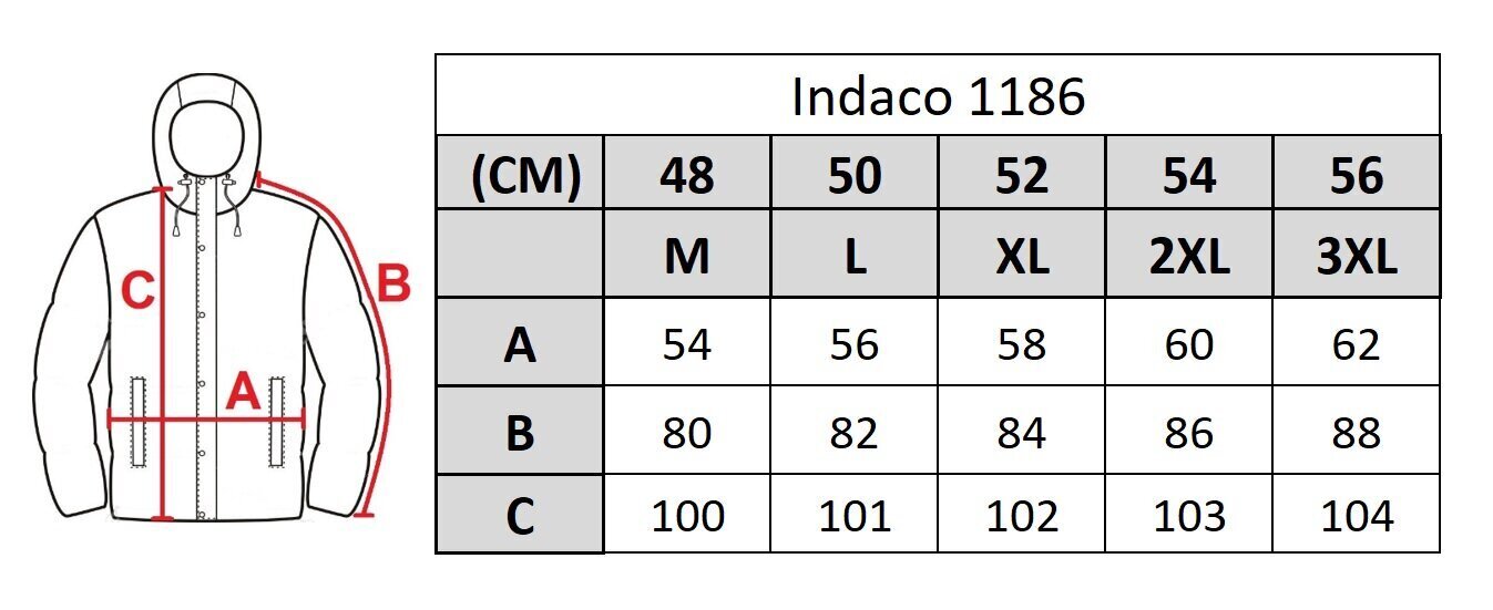 Jope meestele Indaco 1186, sinine цена и информация | Meeste joped | kaup24.ee