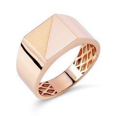 Золотое мужское кольцо цена и информация | Мужские украшения | kaup24.ee
