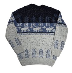 Детский свитер  Mizgin цена и информация | Свитеры, жилетки, пиджаки для мальчиков | kaup24.ee