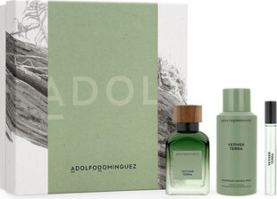 Komplekt Adolfo Dominguez Vetiver Terra meestele: parfüümvesi EDP, 120 ml + 10 ml + deodorant, 150 ml цена и информация | Мужские духи | kaup24.ee