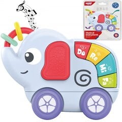 Сенсорная игрушка для малышей со звуковыми эффектами WOOPIE - дракон цена и информация | Игрушки для малышей | kaup24.ee