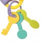 Interaktiivne närimislelu ja võtmed valgus- ja heliefektidega 2in1 Woopie hind ja info | Imikute mänguasjad | kaup24.ee