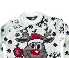 Jõulukampsun lastele, valge hind ja info | Tüdrukute kampsunid, vestid ja jakid | kaup24.ee