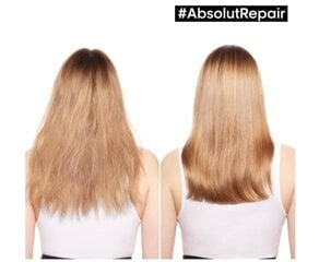 Подарочный набор для волос L'Oréal Professionnel цена и информация | Шампуни | kaup24.ee