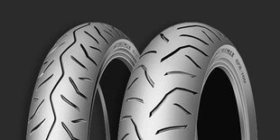 Dunlop Gpr 100 m цена и информация | Зимняя резина | kaup24.ee