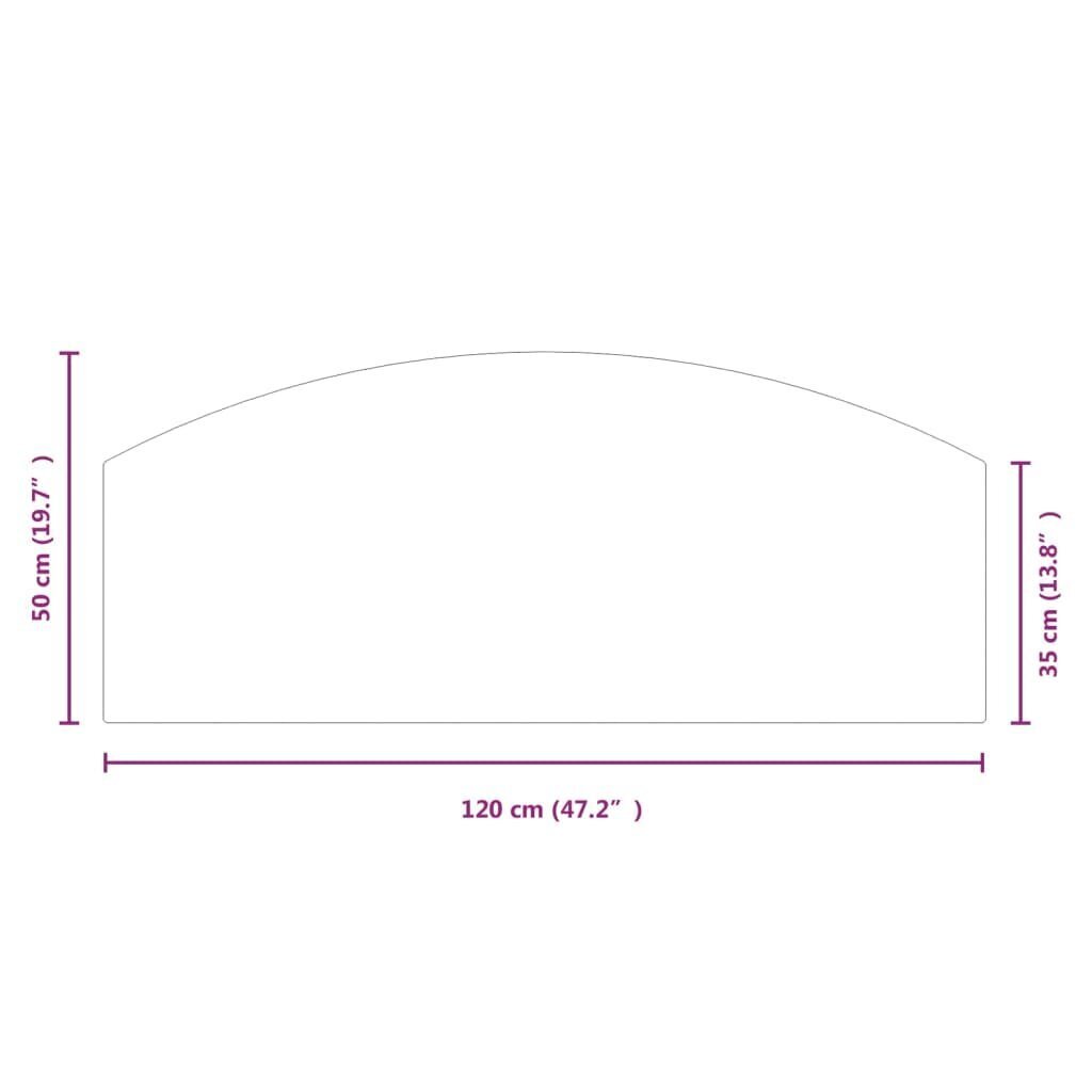 vidaXL kaminaesine klaasplaat, 120 x 50 cm hind ja info | Kaminad | kaup24.ee