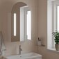 vidaXL LED-valgustusega vannitoa peegelkapp, valge, 42 x 13 x 70 cm цена и информация | Vannitoakapid | kaup24.ee