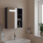 vidaXL LED-valgustusega vannitoa peegelkapp, helehall, 45 x 13 x 52 cm hind ja info | Vannitoakapid | kaup24.ee