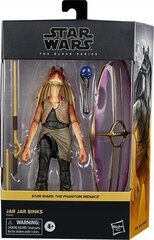 Kuju Star Wars The Black Series Jar Jar Binks Hasbro F0490 цена и информация | Игрушки для мальчиков | kaup24.ee