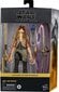 Kuju Star Wars The Black Series Jar Jar Binks Hasbro F0490 цена и информация | Poiste mänguasjad | kaup24.ee