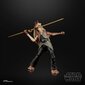 Kuju Star Wars The Black Series Jar Jar Binks Hasbro F0490 цена и информация | Poiste mänguasjad | kaup24.ee