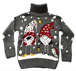 Детский свитер с высоким горлом Päkapikk Mizgin 9090 цена и информация | Свитеры, жилетки, пиджаки для мальчиков | kaup24.ee