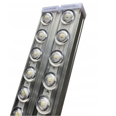 LED lamp, 60 cm, 60 W pirn, 6500K hind ja info | Laelambid | kaup24.ee