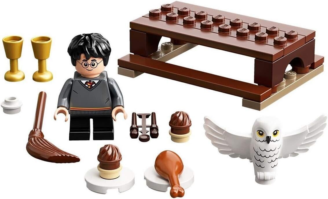 LEGO 30420 - Harry Potter ™ ja Hedwig ™: öökulli kohaletoimetamine hind ja info | Klotsid ja konstruktorid | kaup24.ee