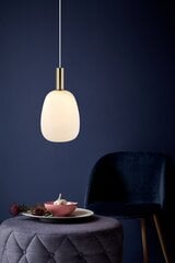 Nordlux ripplamp Alton 60W, 47303001 hind ja info | Rippvalgustid | kaup24.ee