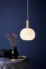 Nordlux подвесной светильник Alton 60W,  47313001 цена и информация | Потолочный светильник, 38 x 38 x 24 см | kaup24.ee