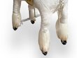 Kiikhobune Unicorn My Pony, 3-6 aastat hind ja info | Imikute mänguasjad | kaup24.ee
