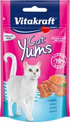 Maiused kassidele Vitakraft Cat Yums, lõhega, 40g hind ja info | Maiustused kassidele | kaup24.ee