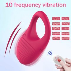 Vibraator - peeniserõngas puldiga Dark Red Brand hind ja info | BDSM ja fetish | kaup24.ee