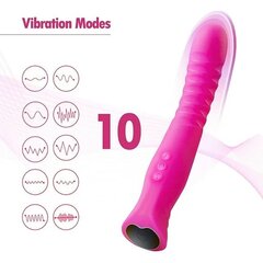 Naiste vibraator – masseerija Dark Red Brand hind ja info | Dildod | kaup24.ee