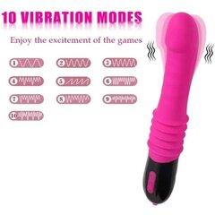 Naiste vibraator – masseerija Dark Red Brand hind ja info | Dildod | kaup24.ee
