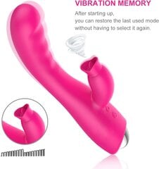 Naiste vibraator – masseerija Dark Red Brand hind ja info | Vibraatorid | kaup24.ee