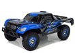Kaugjuhitav auto - FY-01, sinine цена и информация | Poiste mänguasjad | kaup24.ee