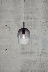 Nordlux подвесной светильник Uma 2112703047 цена и информация | Люстры | kaup24.ee
