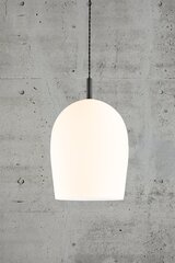 Nordlux подвесной светильник Uma 2112733001 цена и информация | Люстры | kaup24.ee