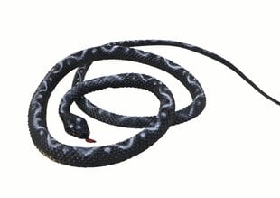Резиновая змея, черный цена и информация | Игрушки для мальчиков | kaup24.ee