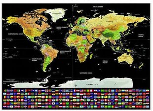 Картa мира без рамы с флажками, 82 x 59 см. цена и информация | Карты мира | kaup24.ee