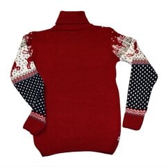 Детский  свитер Põder City Roy 5145 цена и информация | Свитеры, жилетки, пиджаки для мальчиков | kaup24.ee