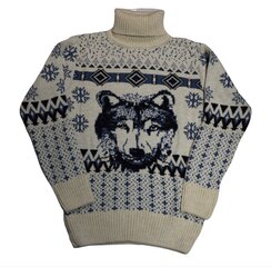 Детский свитер с высоким горлом  Hund Mizgin 2022 цена и информация | Свитеры, жилетки, пиджаки для мальчиков | kaup24.ee