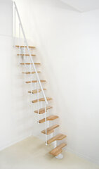 Модульная лестница Vienna Minka, Белая / Бук цена и информация | Лестницы | kaup24.ee