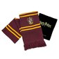 Harry Potter Griffindor 14147 hind ja info | Fännitooted mänguritele | kaup24.ee