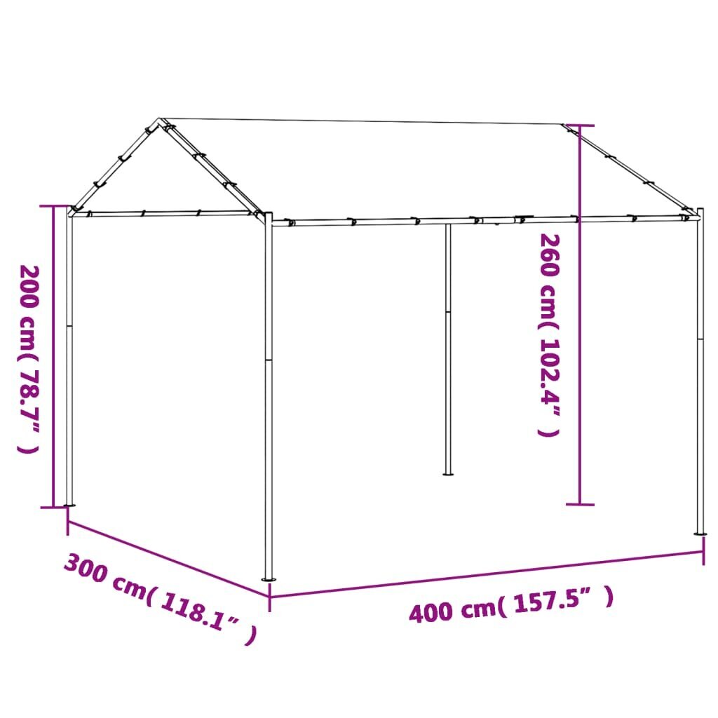 vidaXL varjualune, antratsiithall, 4 x 3 m, teras ja kangas hind ja info | Varikatused ja aiapaviljonid | kaup24.ee