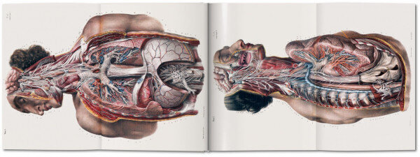 Bourgery. Atlas of Human Anatomy and Surgery XL hind ja info | Entsüklopeediad, teatmeteosed | kaup24.ee