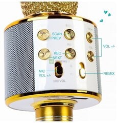 Bluetooth караоке-микрофон с LED-подсветкой Manta, золотой цена и информация | Развивающие игрушки | kaup24.ee