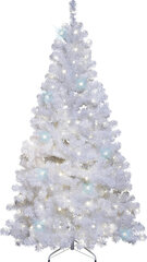 Jõulutuled, 300 LED-i, külm цена и информация | гирлянда, 10 вел 4 см | kaup24.ee