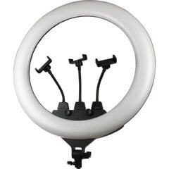 Кольцевая LED лампа с регулируемым штативом цена и информация | Осветительное оборудование для фотосъемок | kaup24.ee